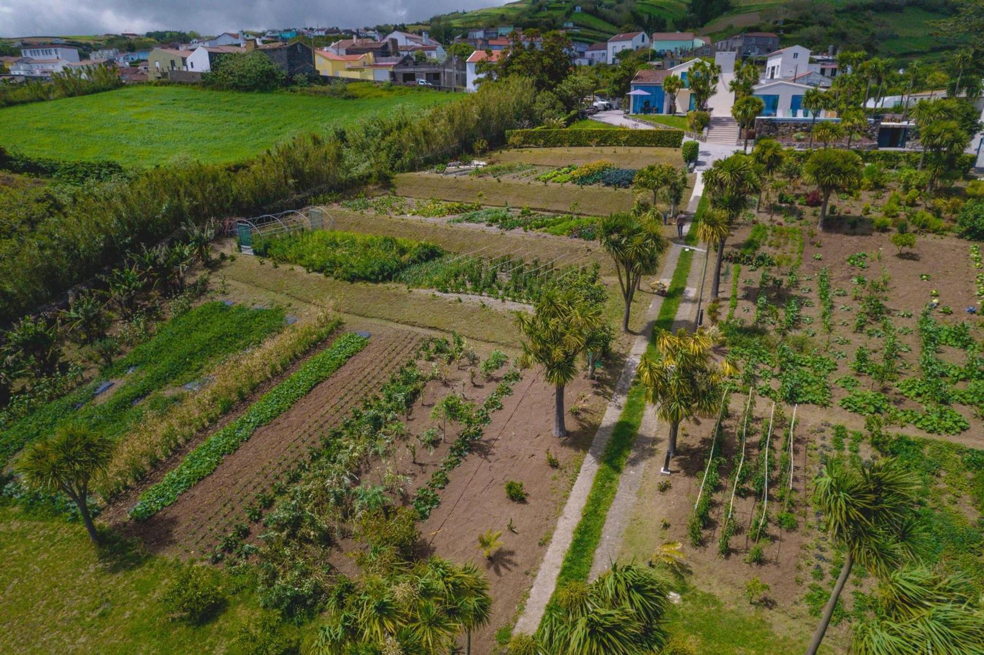 Idonea Bed & Breakfast Ponta Garca Exterior photo